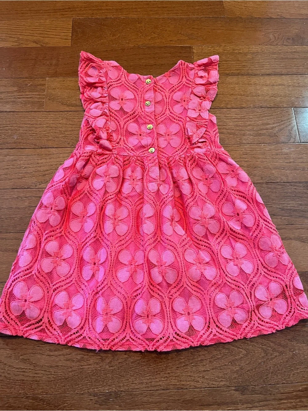 OshKosh B'gosh Hot Pink Floral Eyelet Ruffle Dress